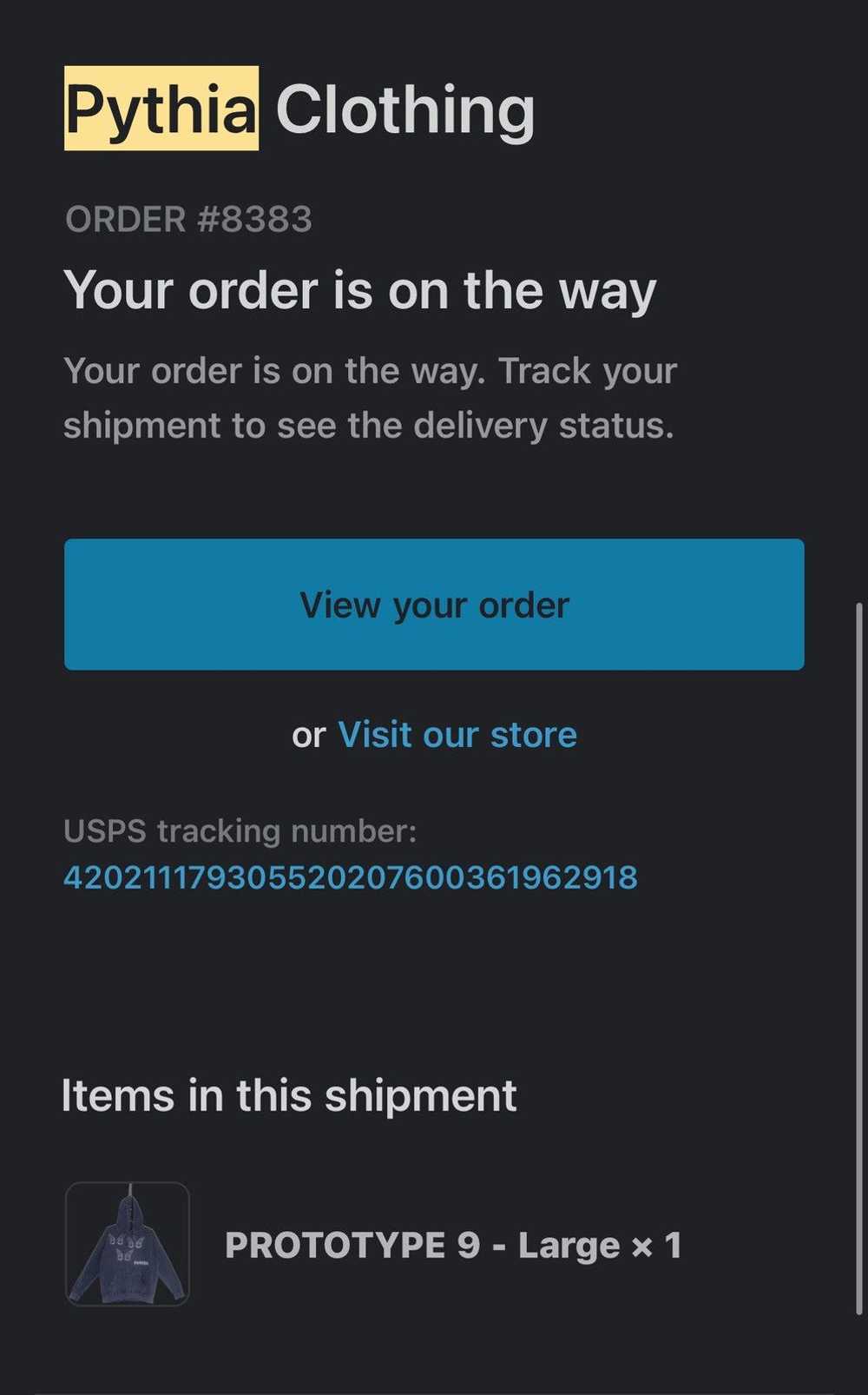 Pythia 1/1 Pythia 2021 Prototype 9 Hoodie - image 8