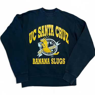 Uc santa cruz sweatshirt - Gem