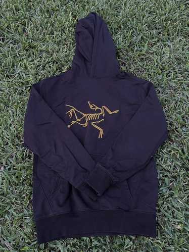 PALACE x ARC'TERYX コラボパーカー Arc'teryx x Palace Skateboards Outdoor Collab | Hypebae