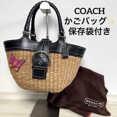 Coach straw basket bag - Gem