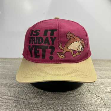 90's Looney Tunes キャップ WB ビンテージ Looney Tunes Vintage 90s Tweety Bird & Sylvester Snapback
