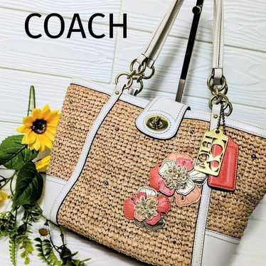 Coach straw basket bag - Gem