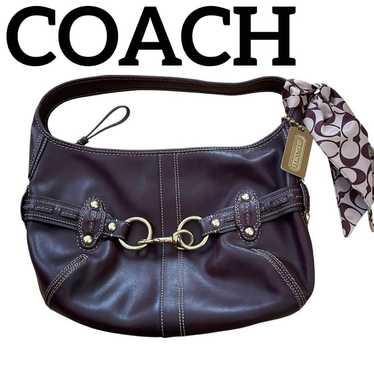 Coach hamptons ergo hobo - Gem