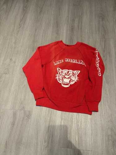 60〜70s Flock Print vintage Sweat フロッキー Vintage Flock Print Sweatshirt Tri Color 60's 70's Rare