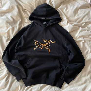 Arcteryx palace palace x - Gem