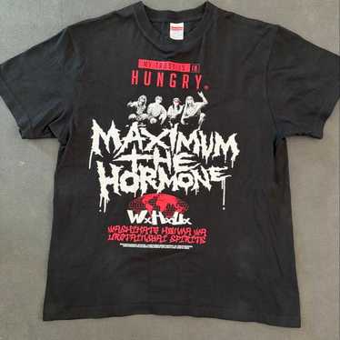 THE MAXIMUM HORMONE Tシャツ Lサイズ ブラック Maximum The Hormone Shirt, Maximum The Hormone Black Unisex