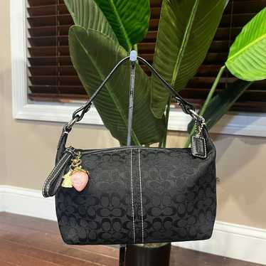 まとめ　coach signature mini hand bag Coach Mini Signature Canvas Handbag – Outro Gadget