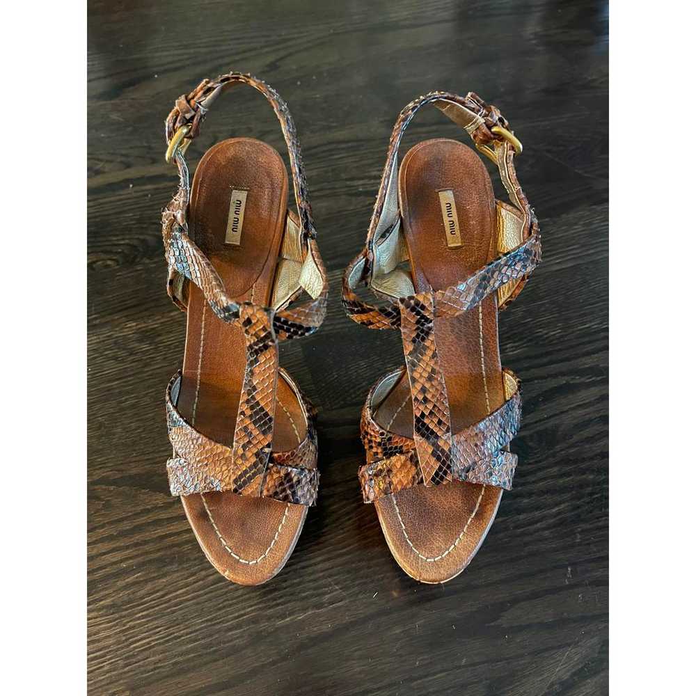 Miu Miu Python heels - image 6