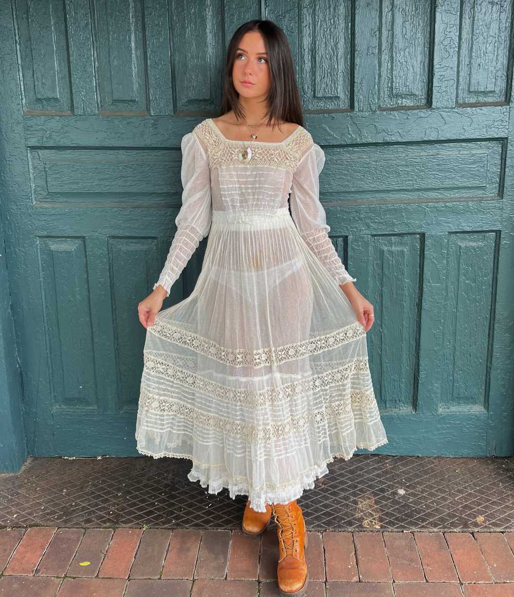 edwardian net mesh gown - image 1