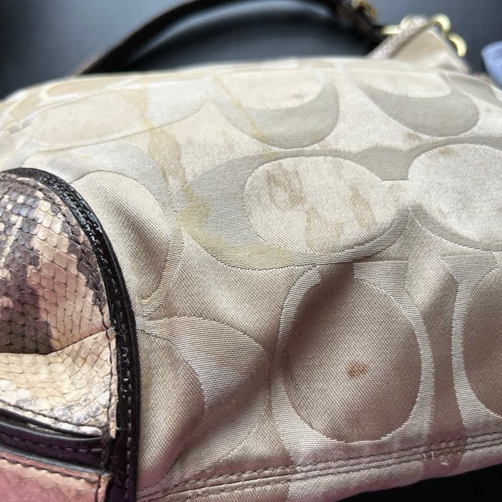Python purse - image 4