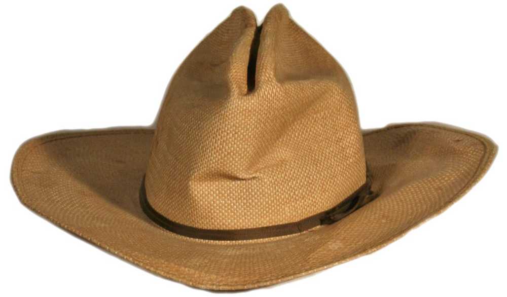 Vintage Straw Cowboy Hat - image 2
