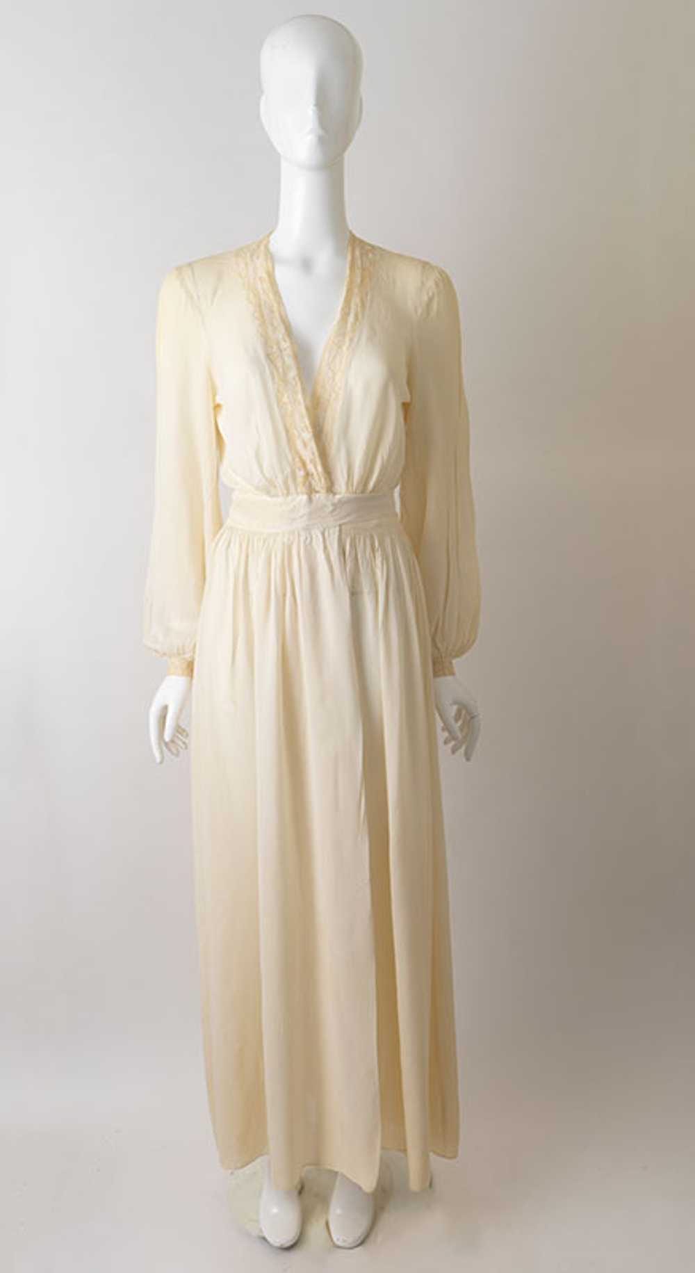 40s Sheer Dressing Gown - image 1