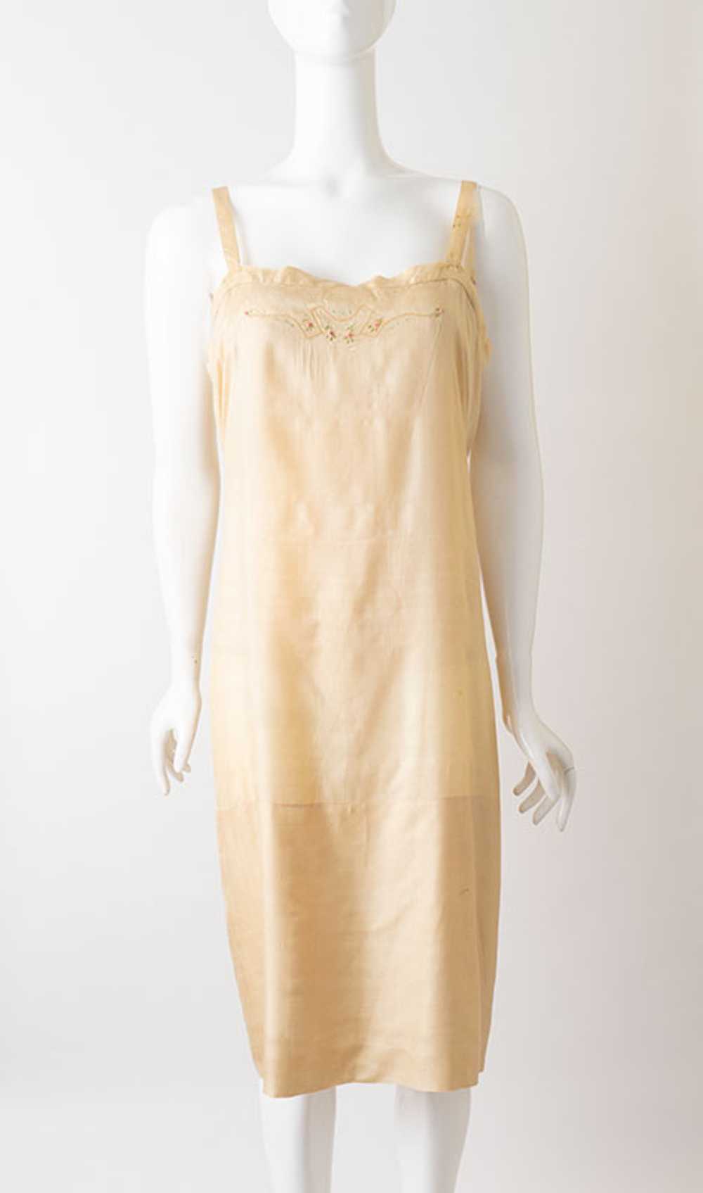 1920s Raw Silk Flapper Dress - image 1