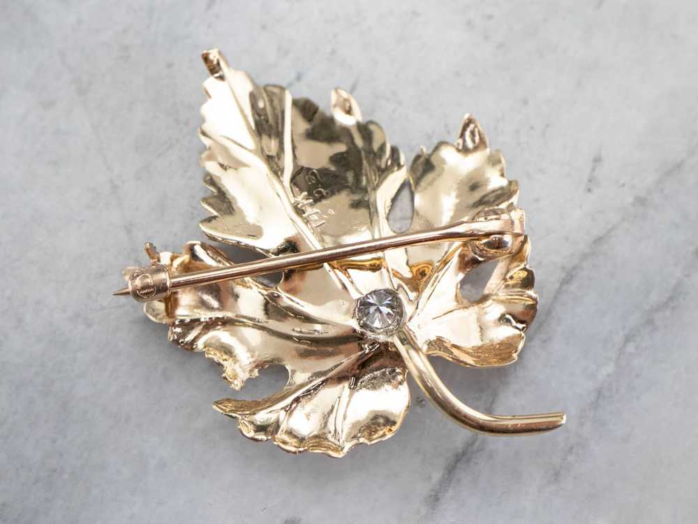 Gold Diamond Grape Leaf Brooch - image 6