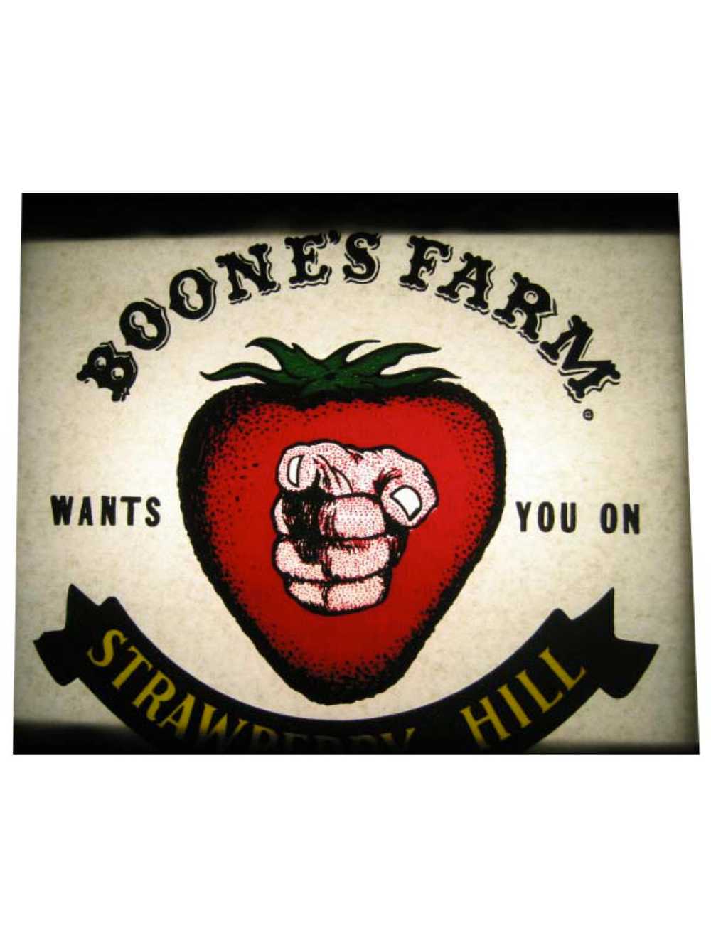 1970's Boones Farm Iron-Ons - Alcohol Themes - image 1