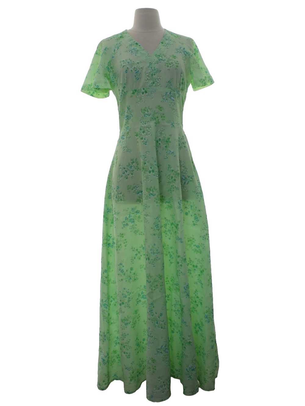 1960's Print Maxi Dress - image 1
