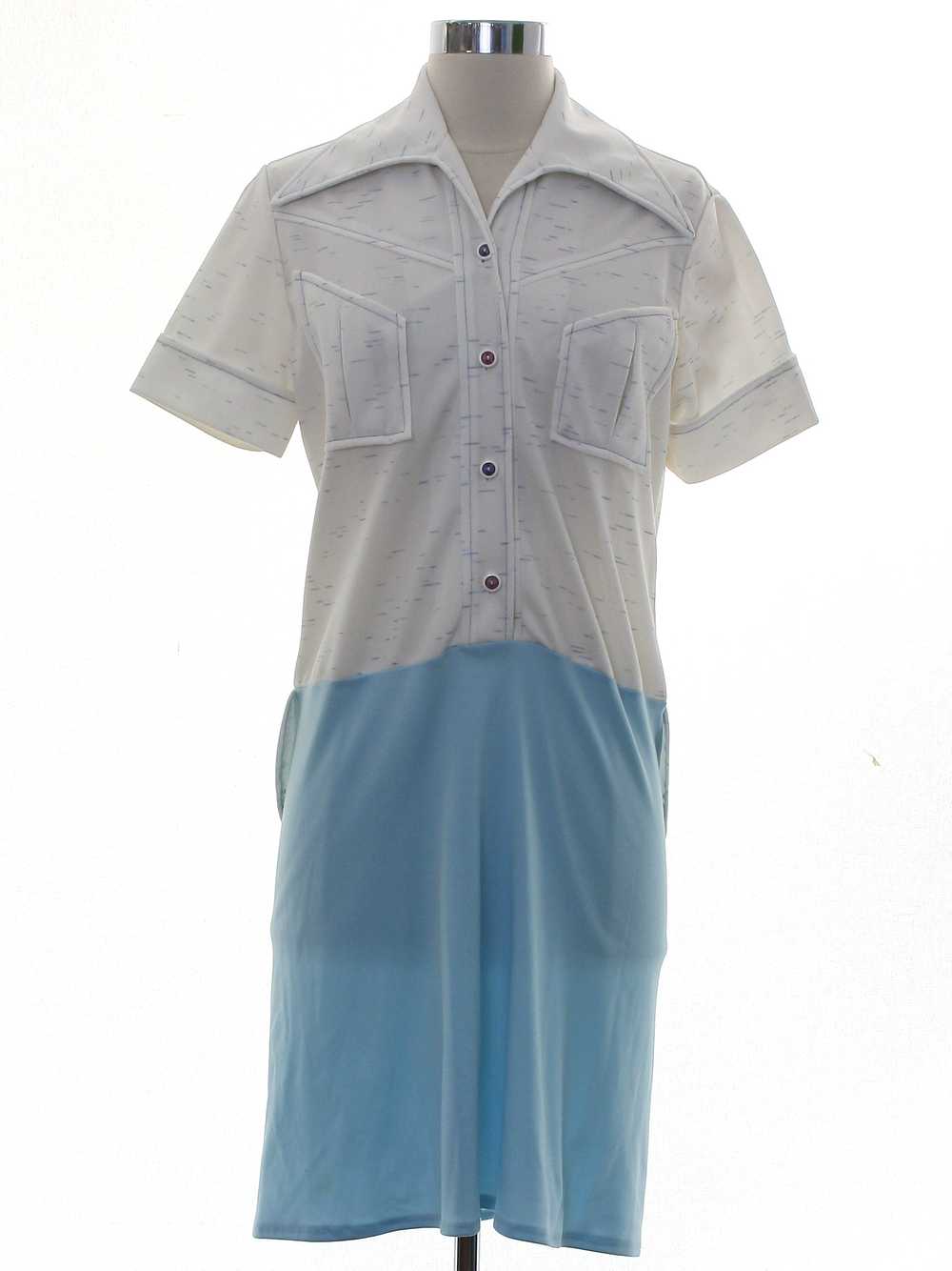 1970's A-Line Dress - image 1
