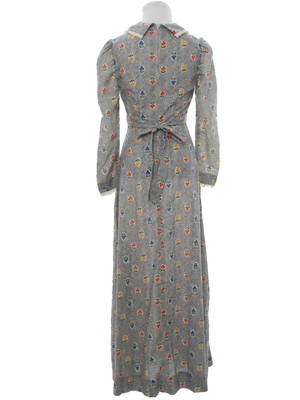 1970's Hippie Prairie Maxi Dress - image 3