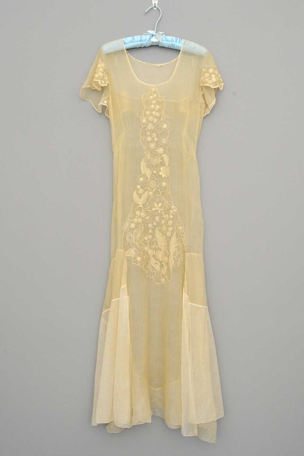1920s 30s Deco Flapper Dress Gown | Sheer Gauzy E… - image 1