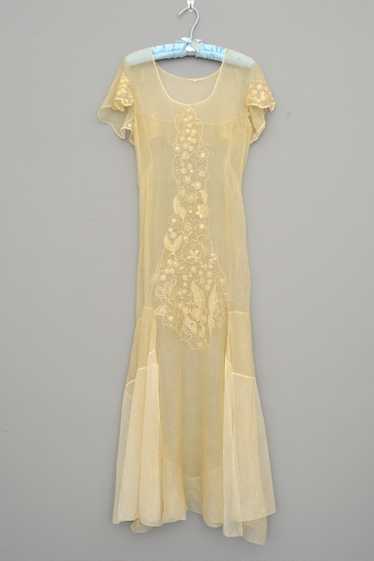 1920s 30s Deco Flapper Dress Gown | Sheer Gauzy E… - image 1