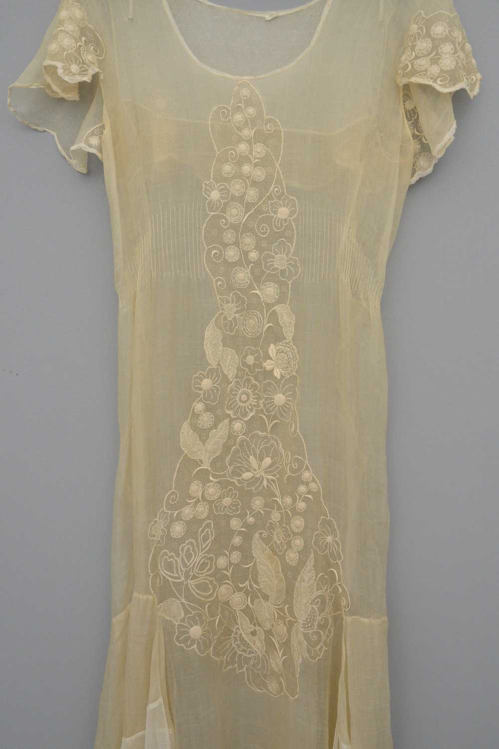 1920s 30s Deco Flapper Dress Gown | Sheer Gauzy E… - image 2