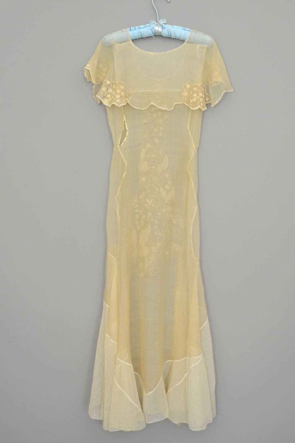 1920s 30s Deco Flapper Dress Gown | Sheer Gauzy E… - image 3