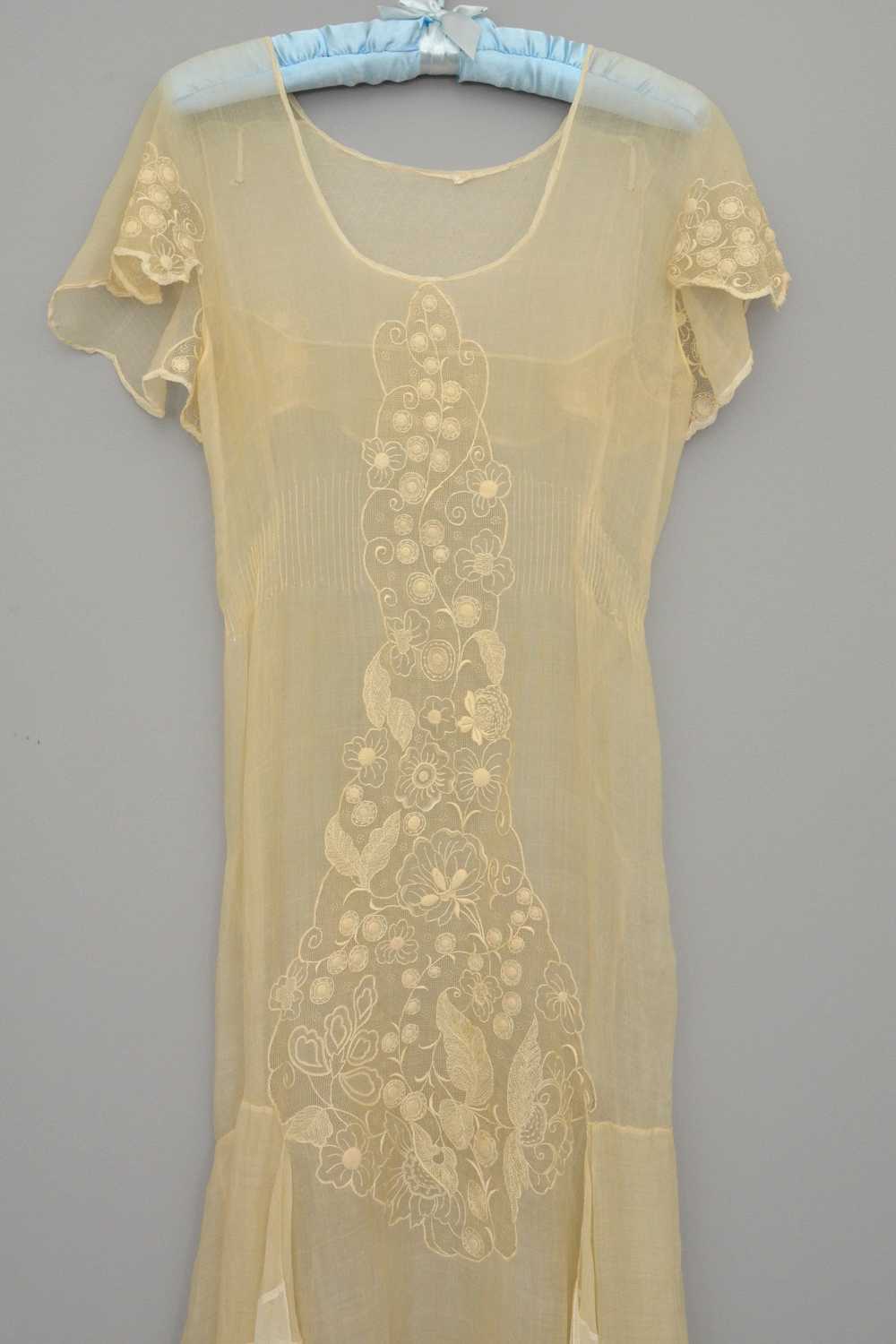 1920s 30s Deco Flapper Dress Gown | Sheer Gauzy E… - image 4