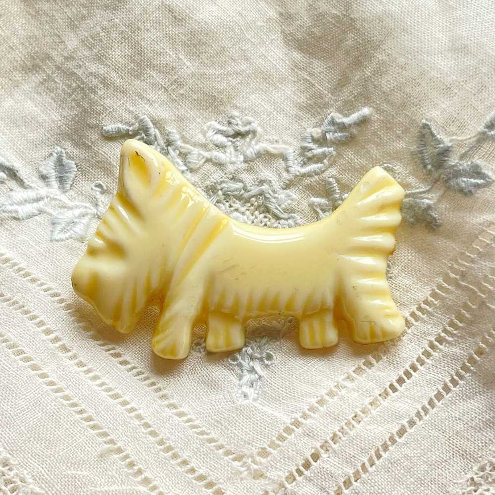 Vintage 20s/30s Cream Lucite Small Dog Brooch - image 1