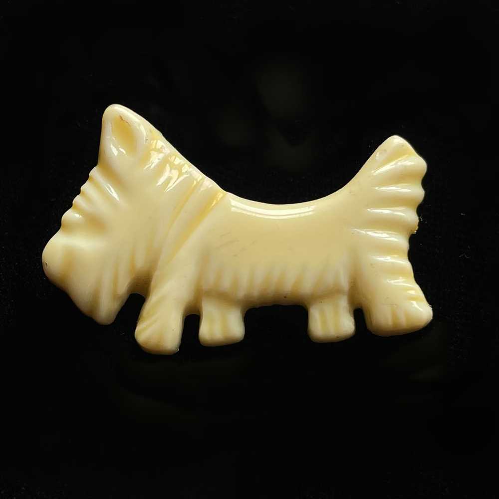 Vintage 20s/30s Cream Lucite Small Dog Brooch - image 3
