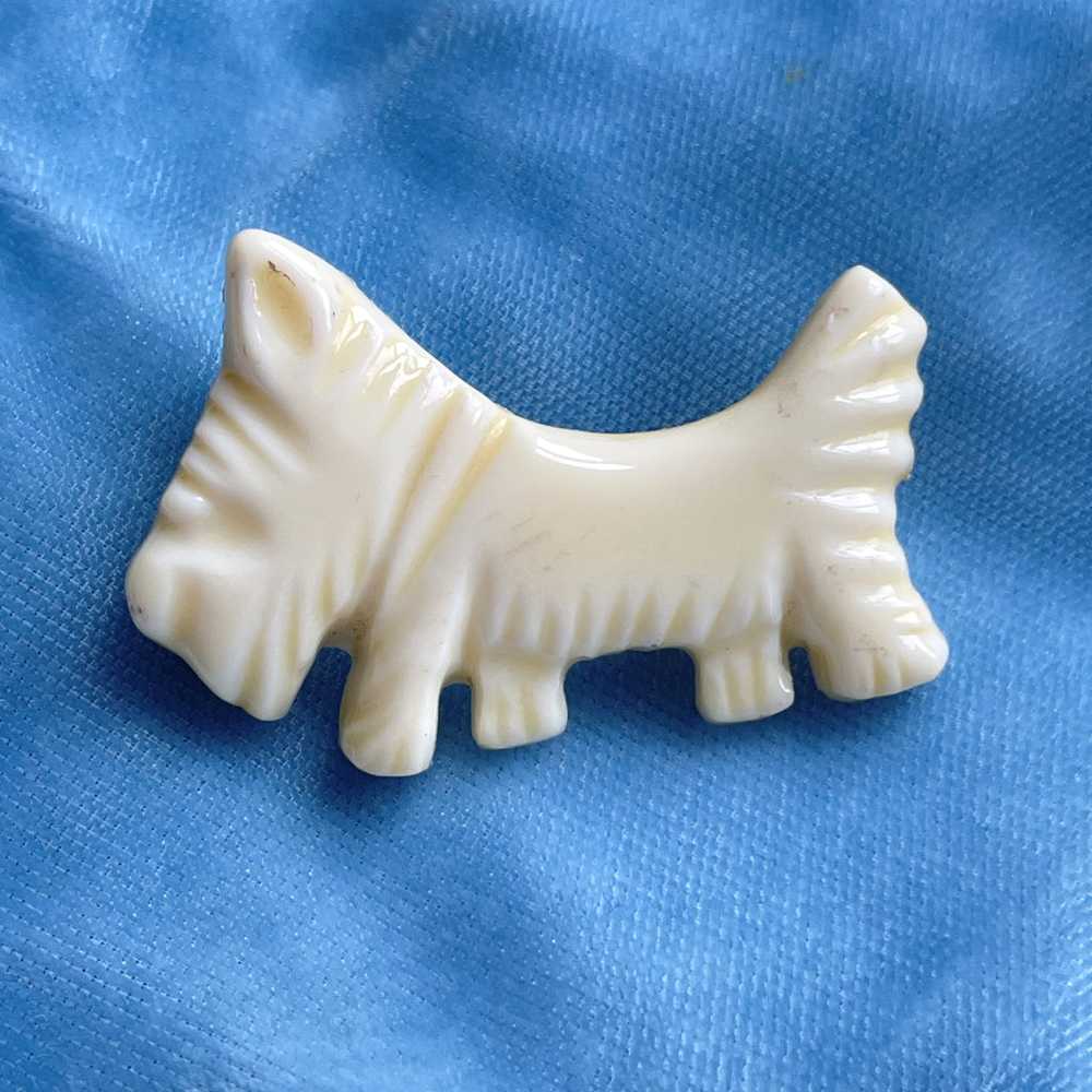Vintage 20s/30s Cream Lucite Small Dog Brooch - image 4