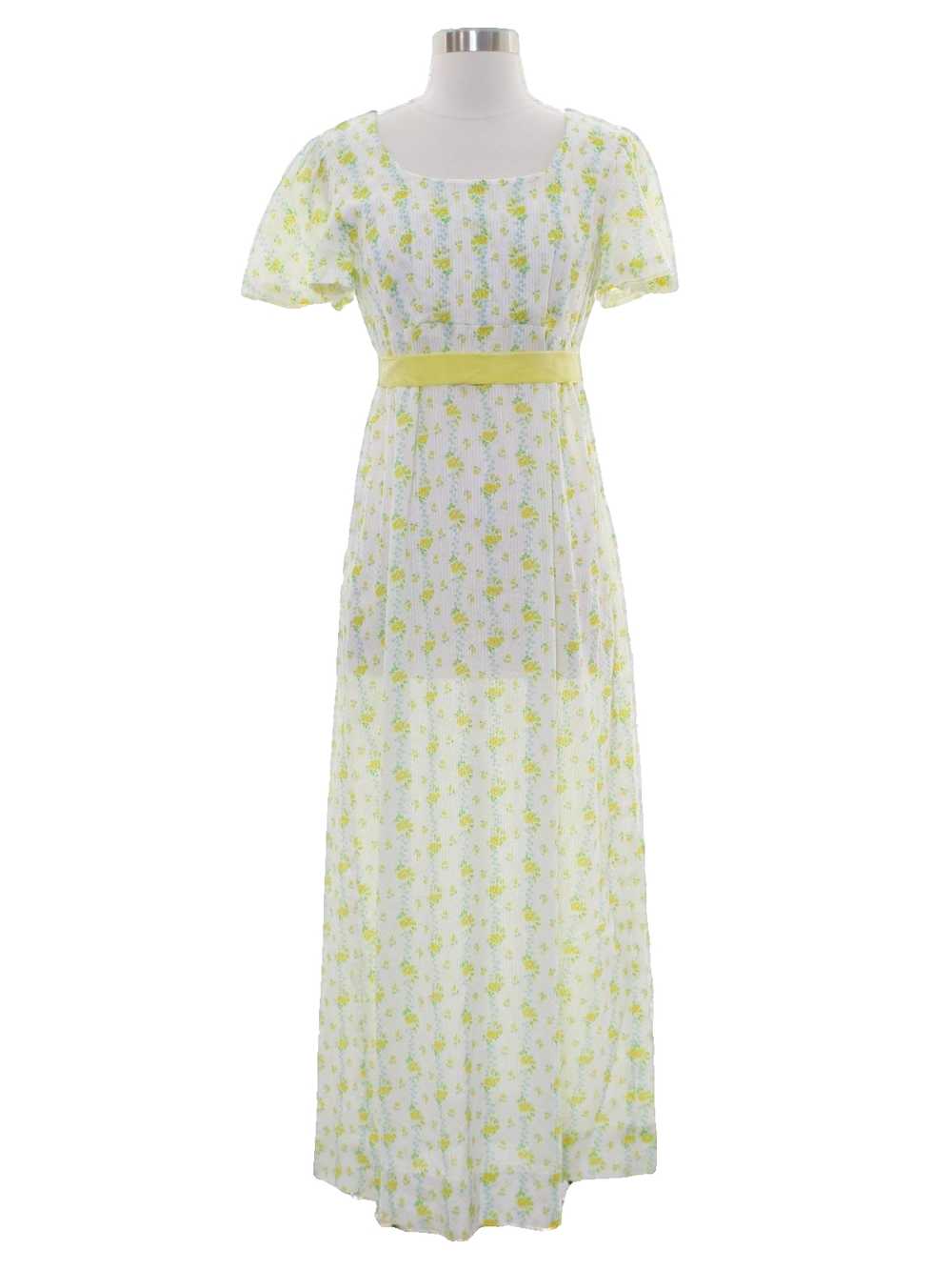 1960's Hippie Maxi Dress - image 1