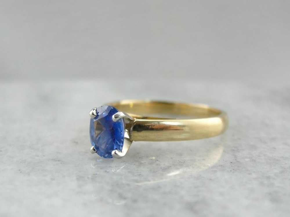 High Set Sapphire Solitaire - image 2