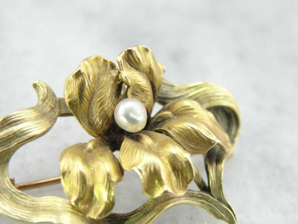 Art Nouveau Frilled Iris Gold Pin with Pearl Cent… - image 5