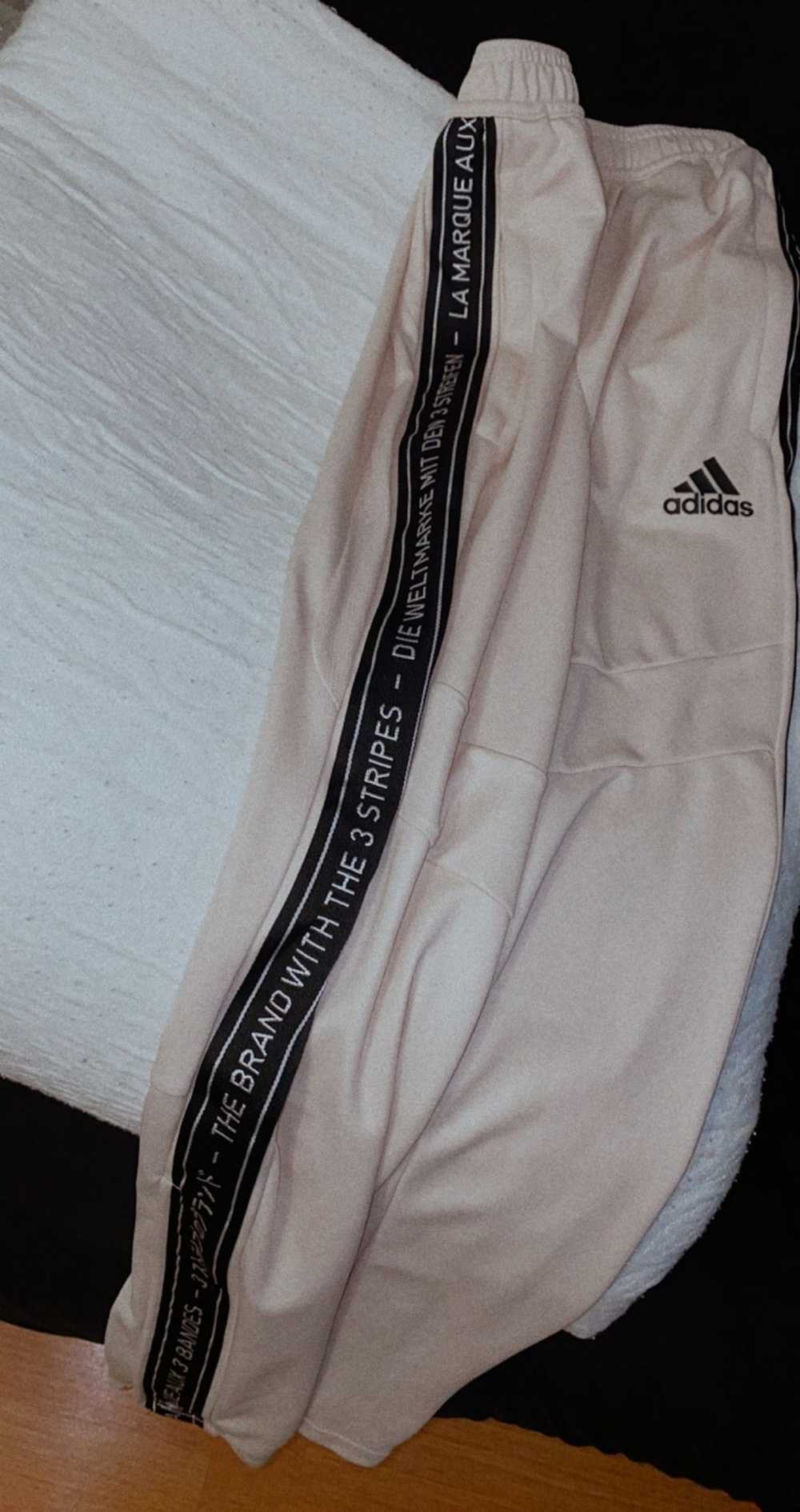 Adidas Designer adidas pants - image 2