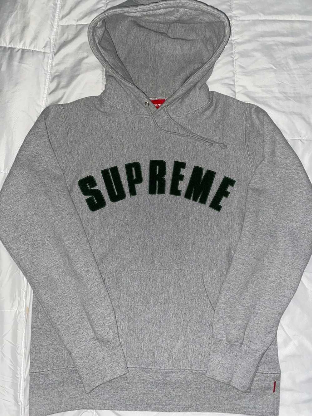 Supreme Chenille Arc Logo Hoodie - Gem