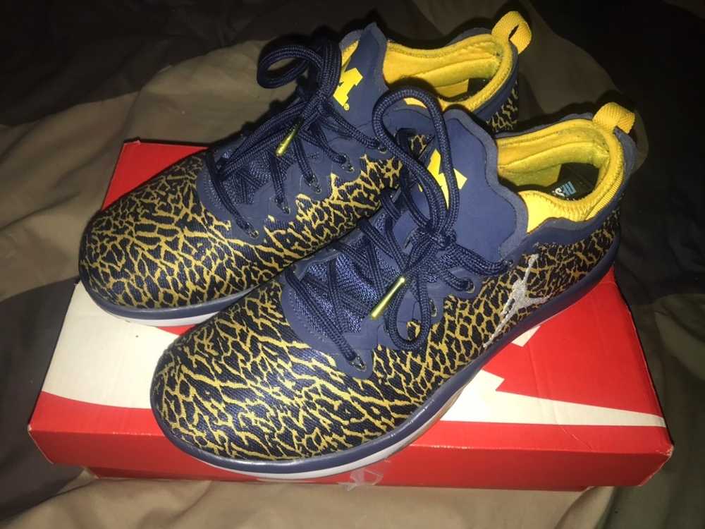 Nike Jordan Trainer 1 Low Michigan 2016 - image 1