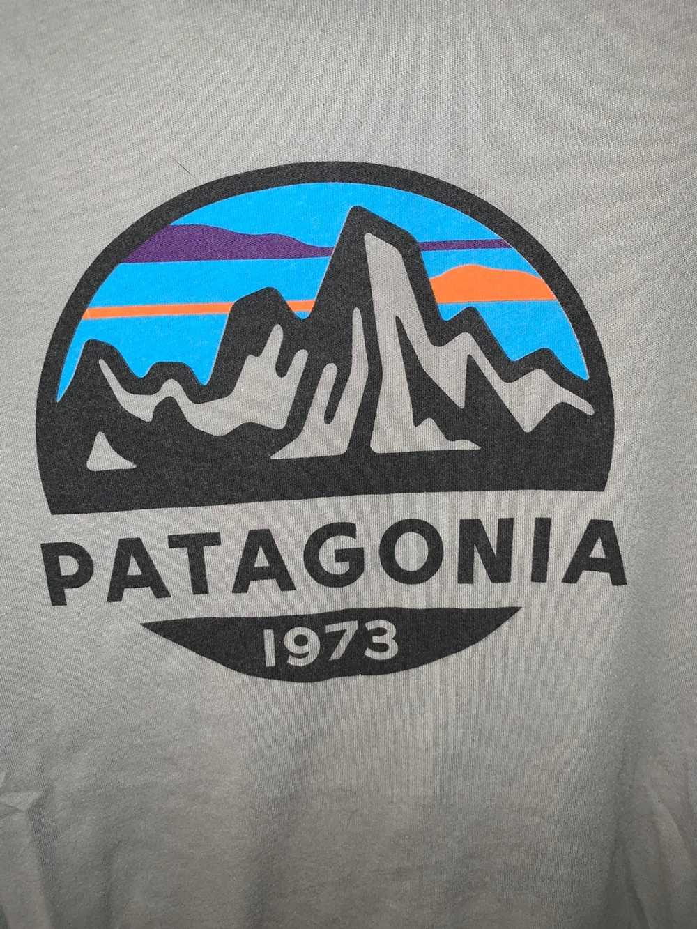 Patagonia Patagonia Graphic Tee - image 2