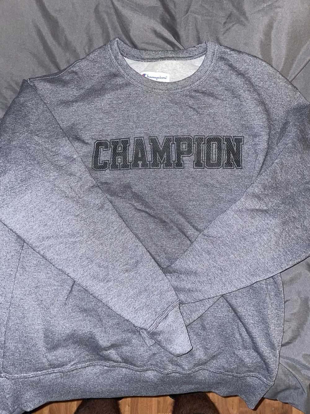Champion Vintage Champion Sweater. - image 1