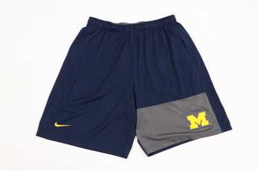 Nike Nike University of Michigan Team Issued Bask… - image 1
