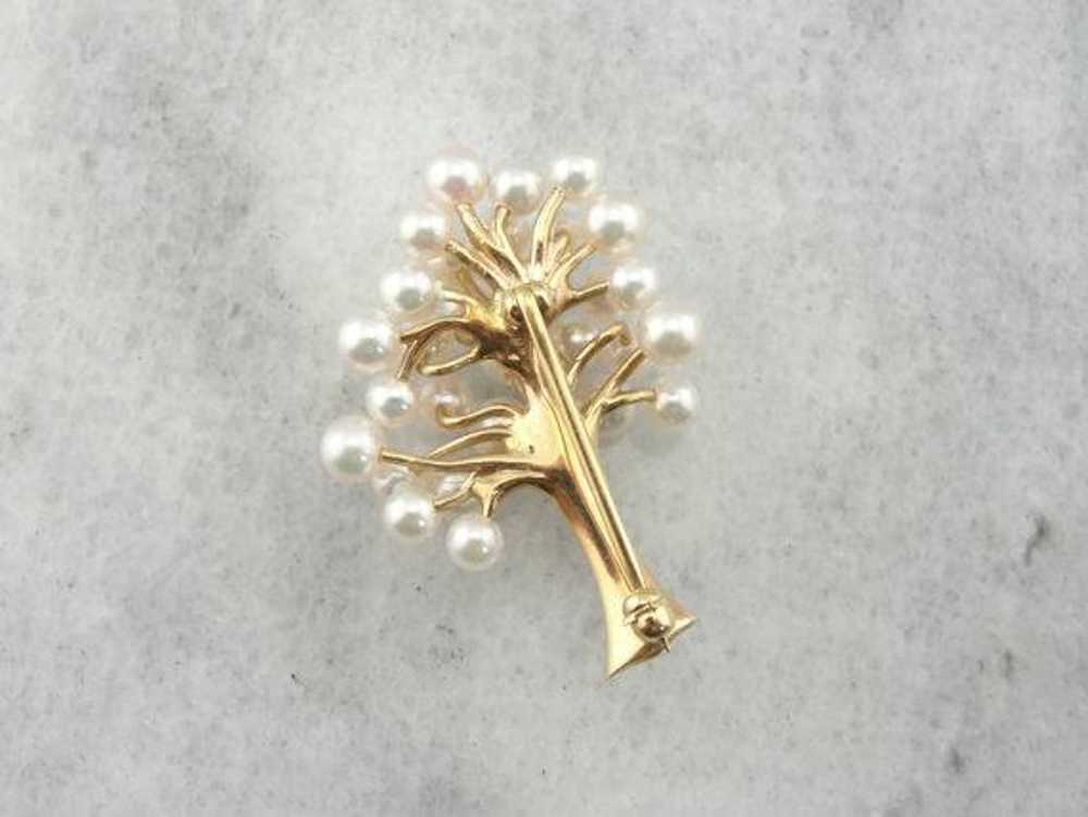 Pearl and 14K Yellow Gold Tree Brooch - image 3