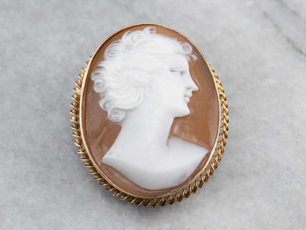 Mid Century Cameo Brooch or Pendant - image 1