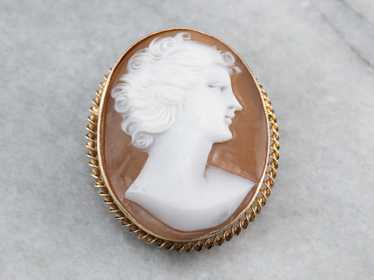 Mid Century Cameo Brooch or Pendant - image 1
