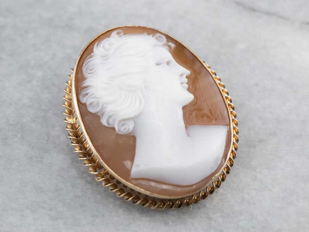 Mid Century Cameo Brooch or Pendant - image 2