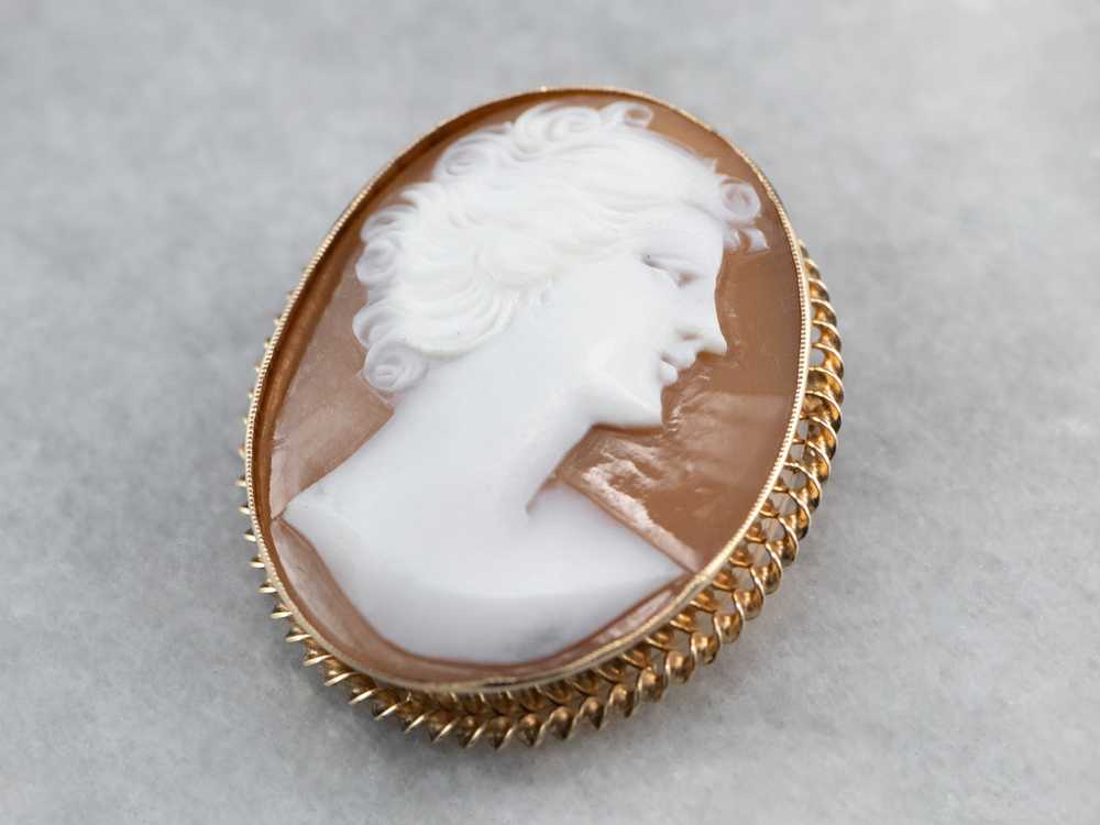 Mid Century Cameo Brooch or Pendant - image 3