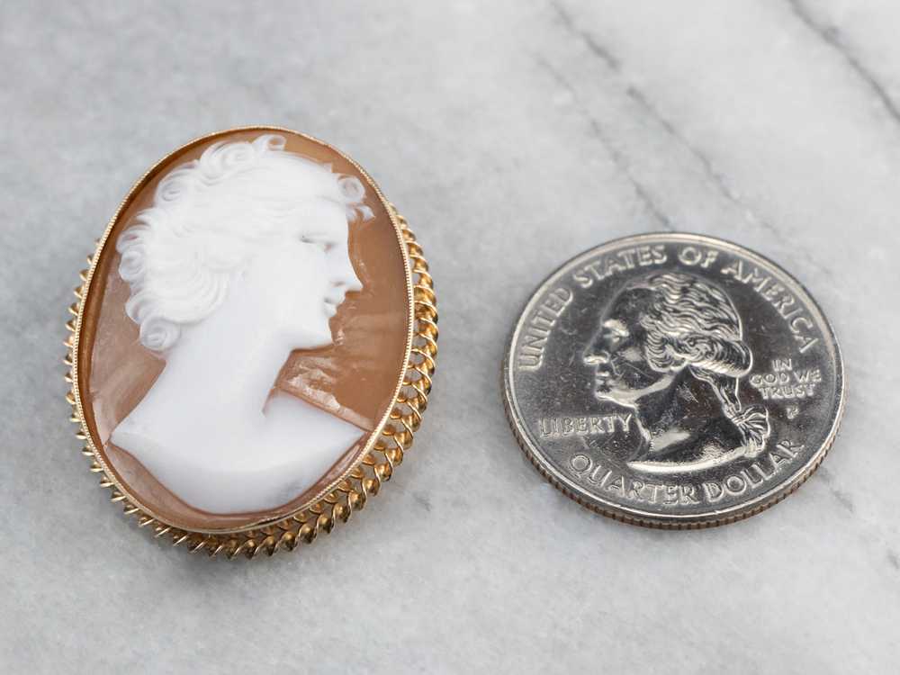 Mid Century Cameo Brooch or Pendant - image 5