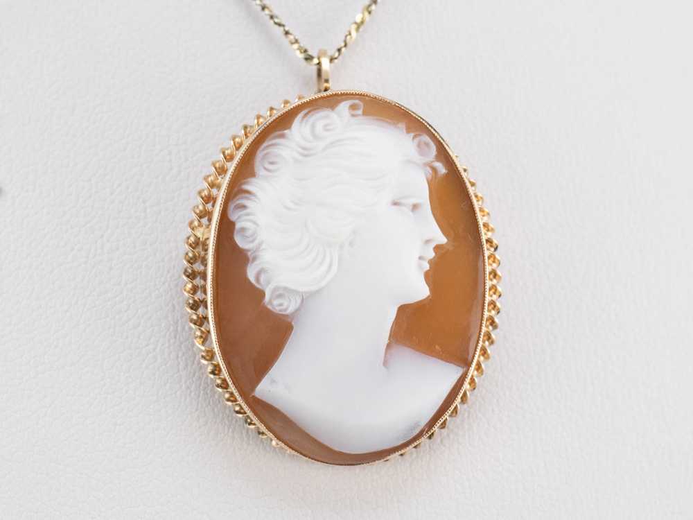Mid Century Cameo Brooch or Pendant - image 8