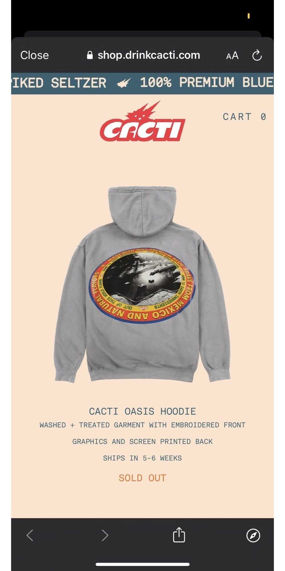 Travis Scott Cacti Hoodie Grey - image 7