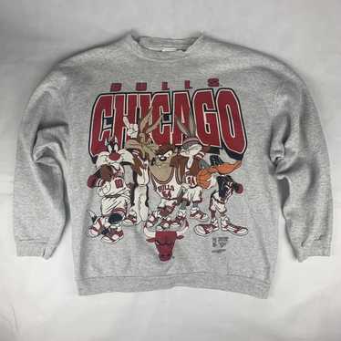 Tultex 1994 Looney Tunes Chicago Bulls Sweatshirt - image 1