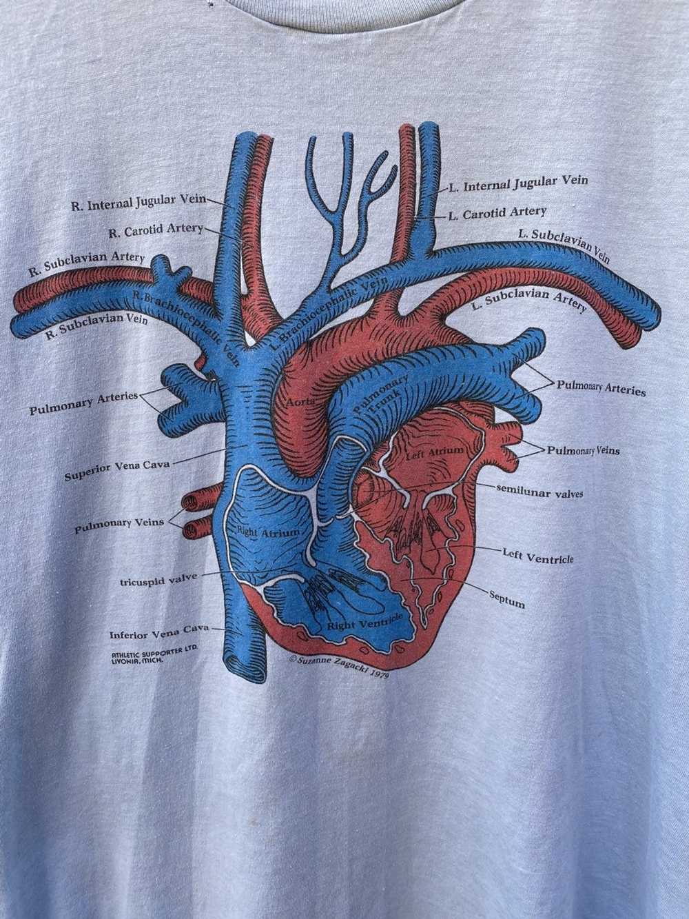 Vintage Vintage 1979 Anatomy of the Heart Graphic… - image 2