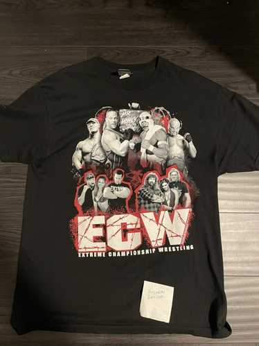 Vintage WWE ECW 2006 One Night Stand